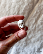 Miniature dødningehoved til bogreol - Billede 2