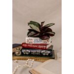 Bogvase Urtepotte Jane Austen - Sense and Sensibility/Persuasion/Pride and Prejudice - Billede 4